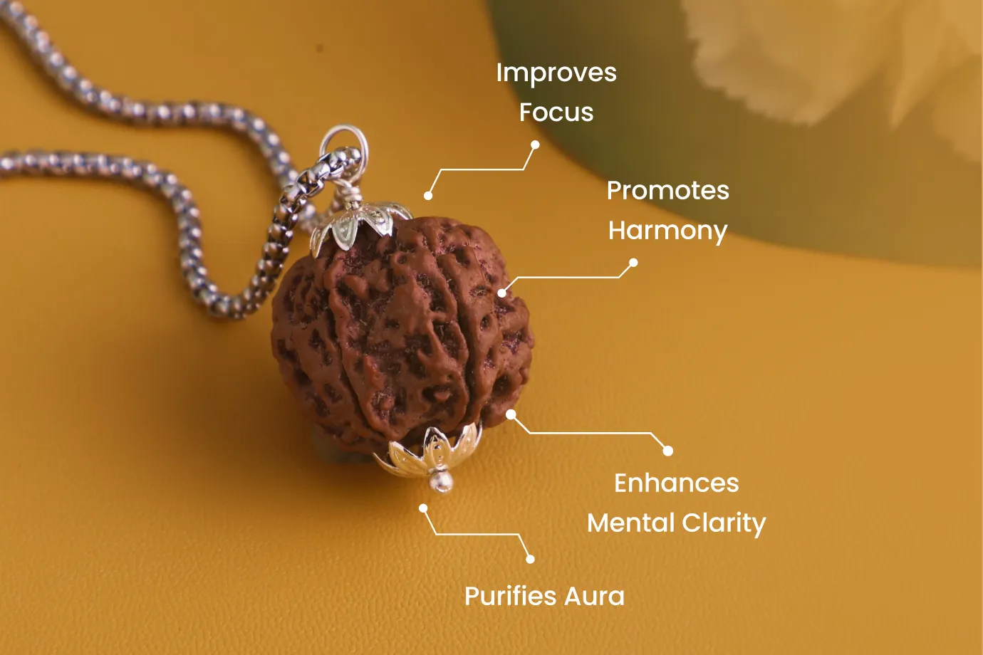 Online 7 Mukhi Rudraksha Pendant | Confidence Online 7 Mukhi Rudraksha Pendant | Confidence